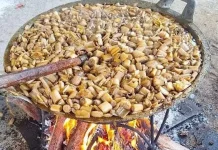 Gulai Takulak, Cita Rasa Leluhur Kerinci yang Bertahan di tengah Modernisasi