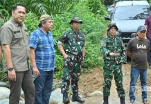 Bupati Merangin Tinjau Jalan Karya Bakti TNI di Sengering