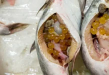 Manfaat Telur Ikan untuk Kesehatan yang Jarang Diketahui