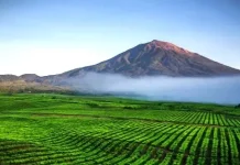 5 Rekomendasi Wisata Alam di Kerinci, Cocok Buat Libur Sekolah