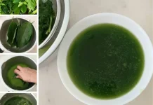 Manfaat Cincau Hijau di Musim Panas