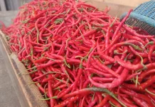 Harga Bumbu Dapur Berubah di Sungai Penuh,Namun Pasokan Masih Aman