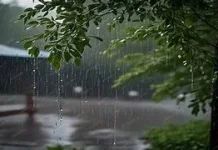 BMKG Prediksi Hujan Ringan dan Kabut Selimuti Kerinci-Sungai Penuh