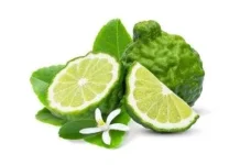 Bergamot, Buah Jeruk dengan Segudang Manfaat