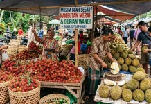 Alasan Durian dan Rambutan Panen Bersamaan