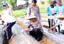 Polres Kerinci Dukung Swasembada Bawang Putih Nasional