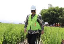 Lahan Rawa Kini Dioptimalkan, Wako Alfin Apresiasi Dukungan TNI