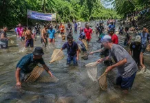 Semarak HUT RI, Warga Tanjung Genting Hilir Ramai Tangkap ikan di Lubuk Larangan