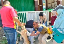Cegah Rabies, Pemkot Sungai Penuh Gencarkan Vaksinasi Hewan Peliharaan