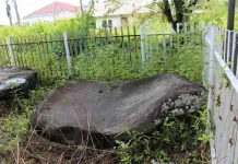 Batu Rajo Pulau Tengah, Jejak Warisan Megalitik di Kabupaten Kerinci