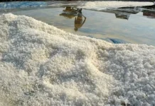 Konsumsi Garam Tercemar Mikroplastik, Warga Diminta Lebih Selektif Memilih Produk