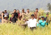 Sungai Penuh Pacu Produktivitas Petani dan Ketahanan Pangan