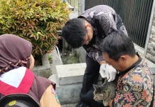 Vaksinasi Hewan Berlanjut,100 Ekor Hewan di Vaksinasi di Pondok Tinggi