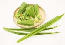5 Manfaat Daun Pandan untuk Wanita