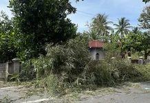 Puluhan Bambu Tumbang, Akses Ekonomi Warga Terganggu