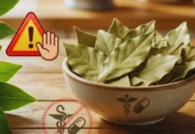 Manfaat dan Efek Samping Daun Salam Bagi Tubuh