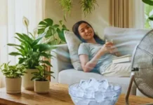 Cara Bikin Ruang Tamu Sejuk tanpa AC