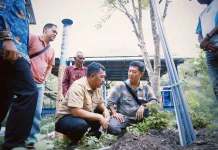 Bupati Monadi Tinjau Budidaya Nilam Bersama Buyer PT Natraco