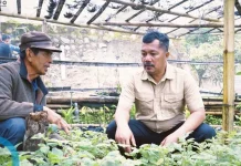 Monadi Turun ke Kebun Nilam Kerinci, Peluang Pasar Petani Mulai Terbuka