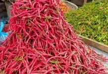 Harga Cabai Merah di Kerinci Tembus Rp80 Ribu, Warga Mulai Kurangi Belanja