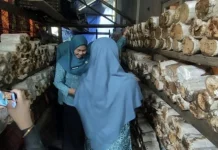 Ketua Tim Penggerak PKK Pimpin Penilaian Lomba Ketapang Mas HATINYA PKK