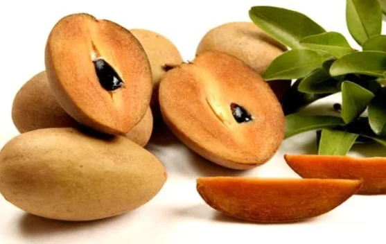 Manfaat Buah Sawo untuk Kesehatan Tubuh Optimal