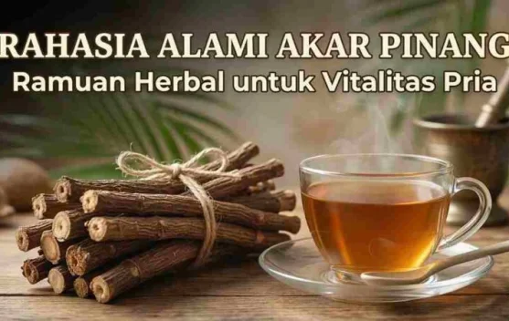 Rahasia Alami Akar Pinang, Ramuan Herbal untuk Pria