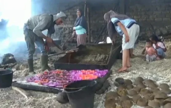 Petani Sungai Asam Hadapi Tekanan Biaya, Lahan Gula Merah Beralih Fungsi