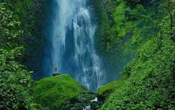 Air Terjun Pancuran Rayo, Pesona Alam untuk Pecinta Petualangan