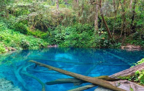 Danau Kaco, Sensasi Aquarium Alami di tengah Hutan Kerinci