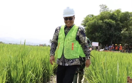 Lahan Rawa Kini Dioptimalkan, Wako Alfin Apresiasi Dukungan TNI