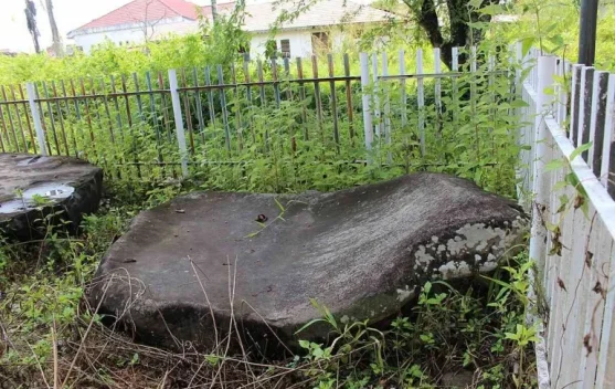 Batu Rajo Pulau Tengah, Jejak Warisan Megalitik di Kabupaten Kerinci