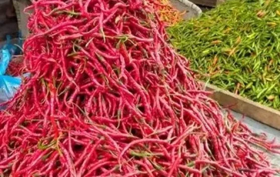 Harga Cabai Merah di Kerinci Tembus Rp80 Ribu, Warga Mulai Kurangi Belanja