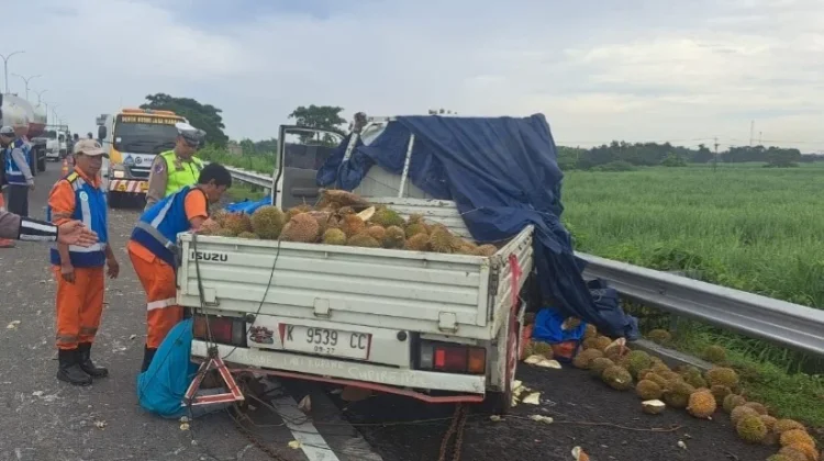 Pecah Ban, Pickup Bermuatan Durian Tergelincir di Tol Sumo