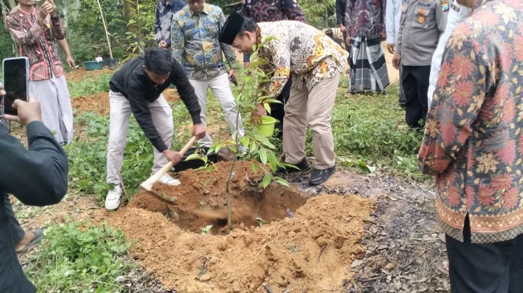 Muhammadiyah Jatim Tanam 113 Bibit Durian di Sampang