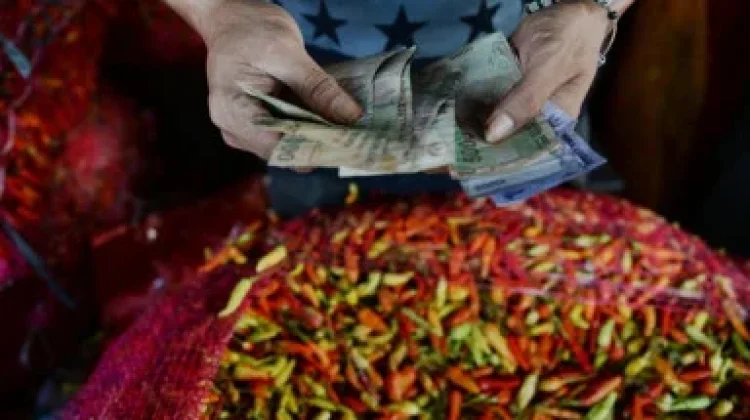 Pasokan Minim, Harga Cabai Rawit Melonjak