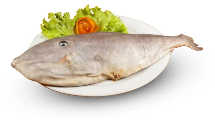 Ikan Sukang, Si Kulit Tebal Penuh Cita