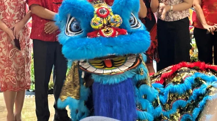 Makna dan Filosofi Barongsai dalam Budaya Tionghoa