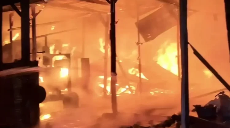 Kandang Terbakar, Ribuan Ayam Pedaging Terpanggang