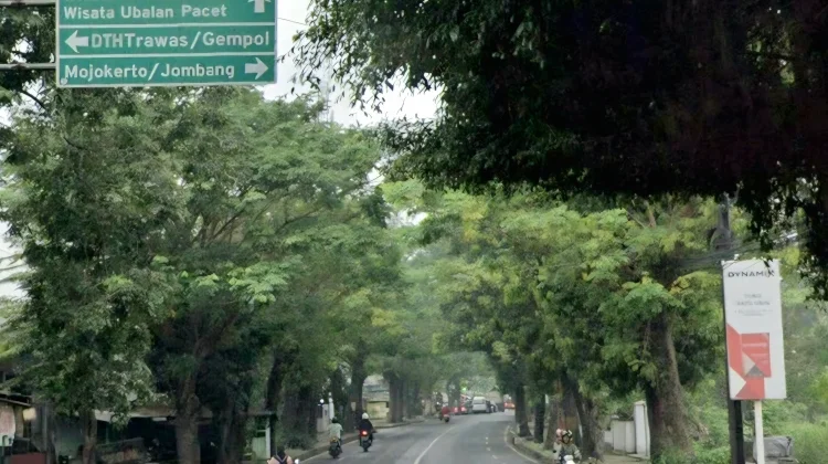 Jalan Raya Mojosari-Pacet Diusulkan Pelebaran