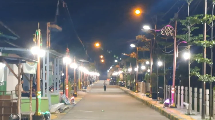Desa Kepuhanyar Mojokerto Transformasi Kawasan Kumuh Jadi Kampung Estetis Sehat