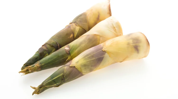 Rebung: Superfood Alami Kaya Manfaat untuk Kesehatan