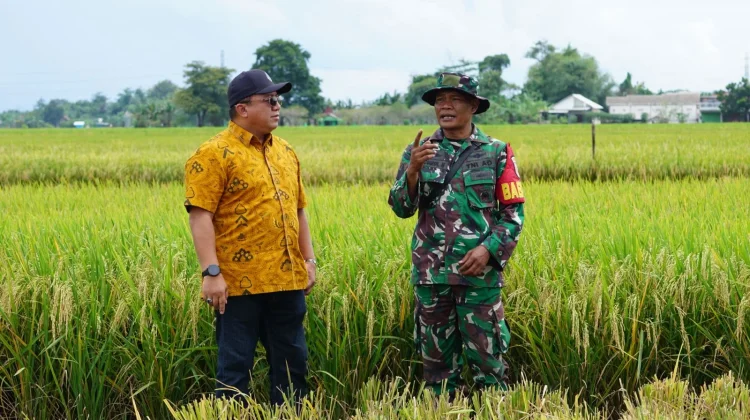 Pengadaan Bulog Jatim Serap 200 Ribu Ton Beras di Februari 2026