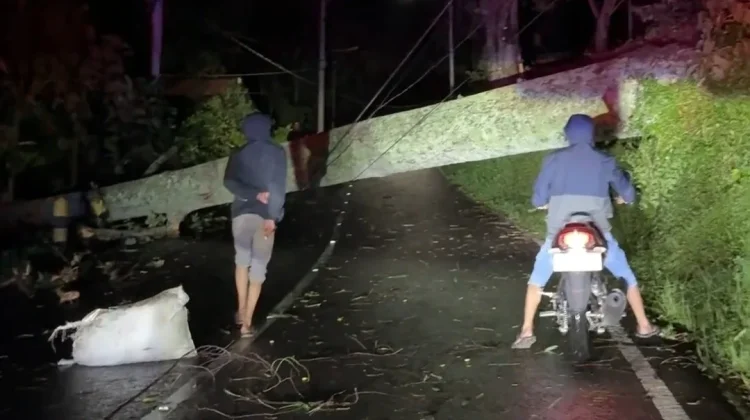 Hujan Angin Terjang Mojokerto, Jalur Pacet-Cangar Lumpuh