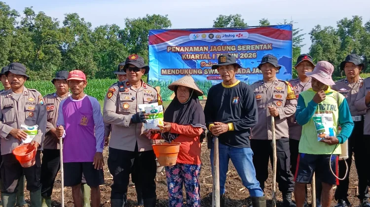 Kepolisian Balongbendo Gelar Tanam Jagung Serentak Kuartal I