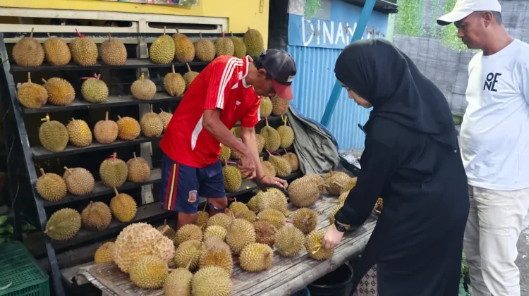 Berburu Durian, Raja Buah Pemilik Cita Rasa Khas