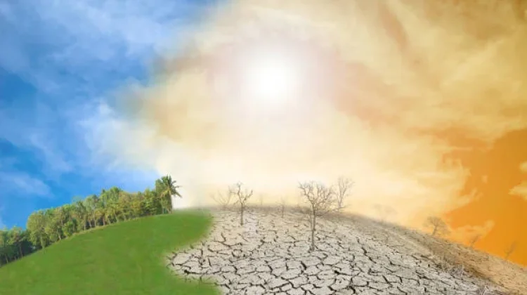 Sinyal El Nino Kuat Intai Kemarau
