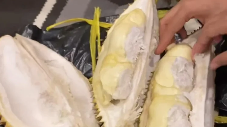 Keseruan Rebutan Durian Jadi Bumbu Manis Momen Silaturahmi