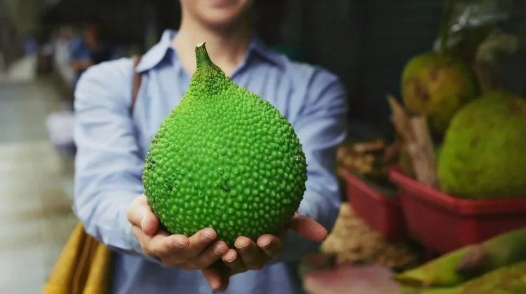 Sukun Kaya Serat dan Vitamin untuk Kesehatan Optimal