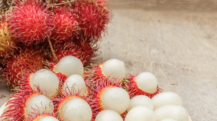 Rambutan Buah Lokal Sumber Nutrisi Mudah Dijangkau